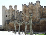 Castillo de Coyanza