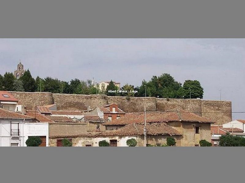 Muralla urbana de Astorga
