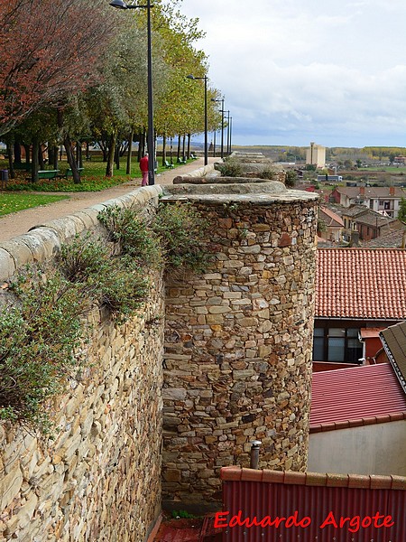 Muralla urbana de Astorga