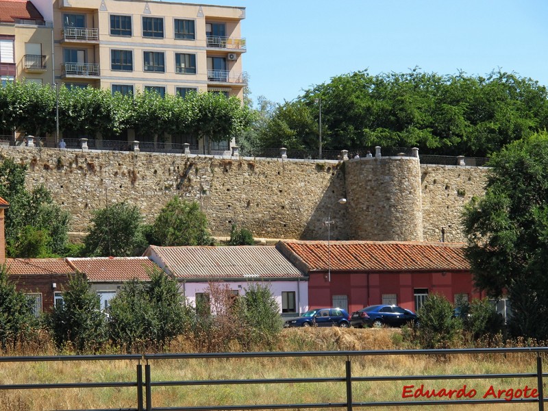 Muralla urbana de Astorga