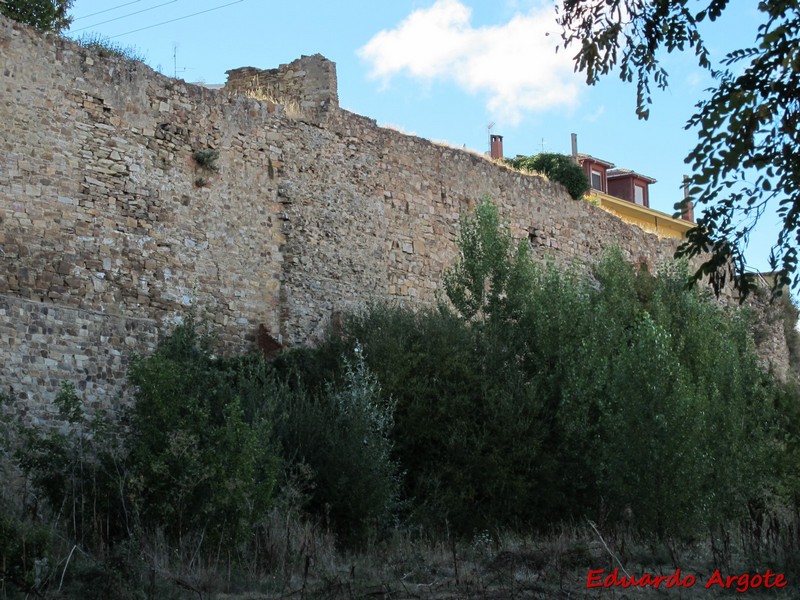 Muralla urbana de Astorga