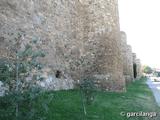 Muralla urbana de Astorga