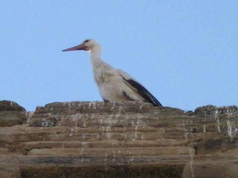 Castillo de Quintana del Marco