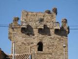 Castillo de Quintana del Marco