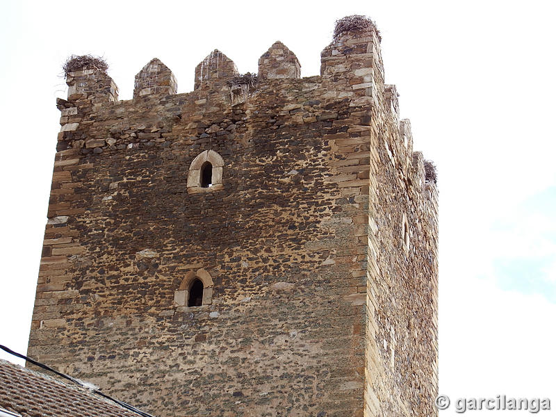 Castillo de Laguna de Negrillos