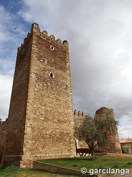 Castillo de Laguna de Negrillos