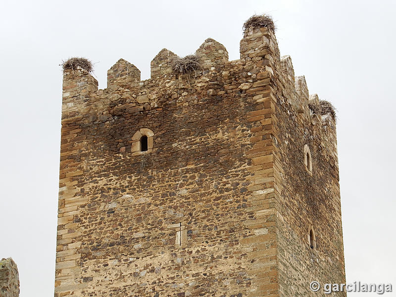 Castillo de Laguna de Negrillos