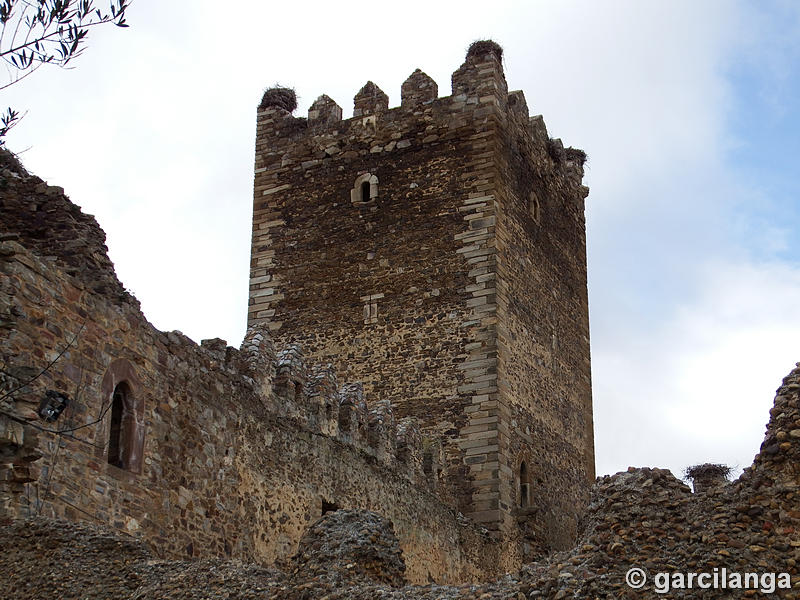 Castillo de Laguna de Negrillos