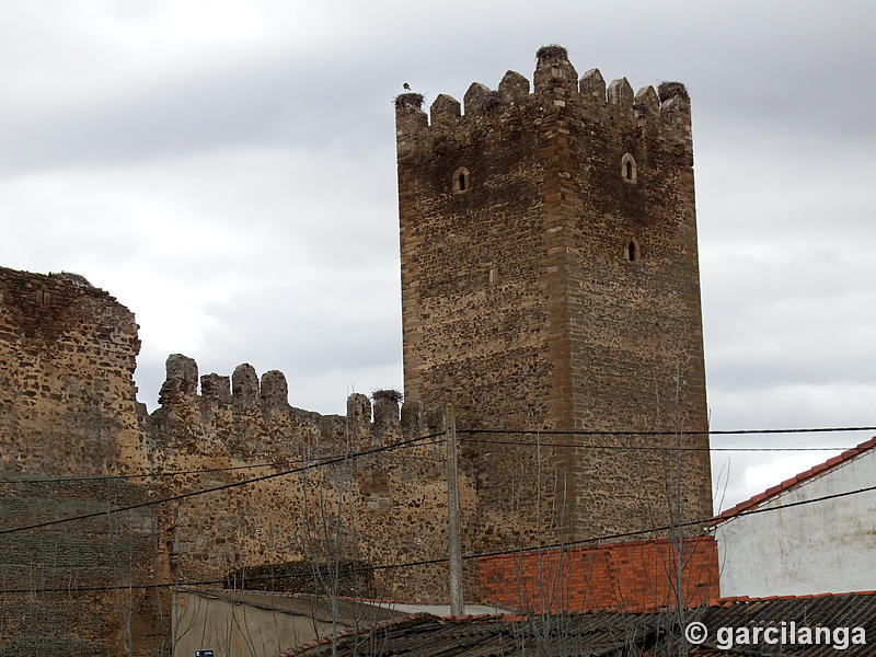 Castillo de Laguna de Negrillos