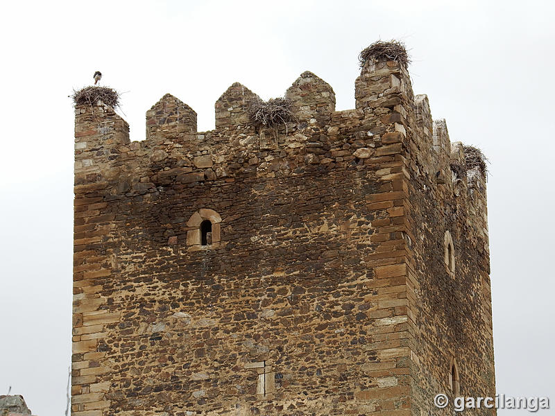 Castillo de Laguna de Negrillos