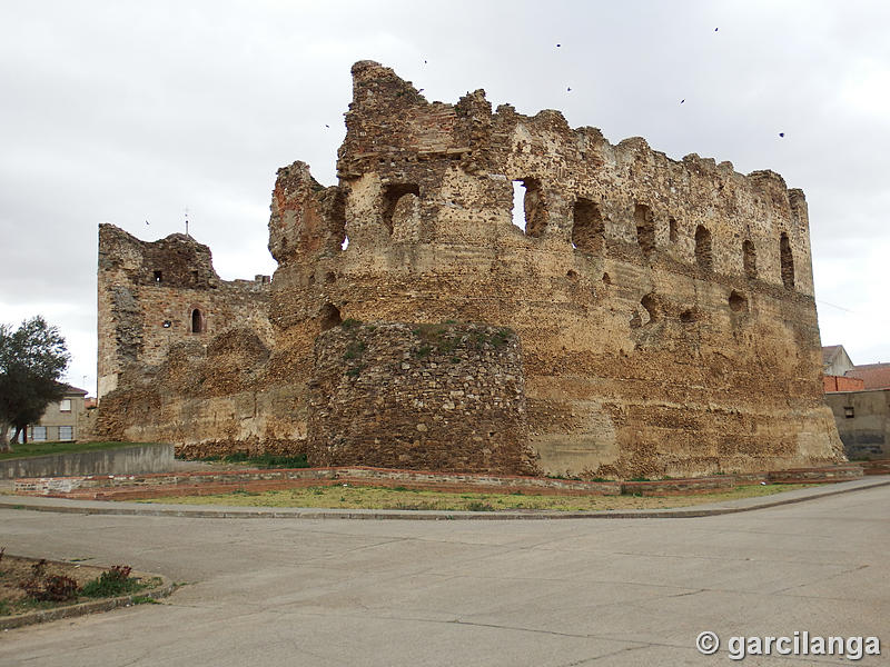 Castillo de Laguna de Negrillos