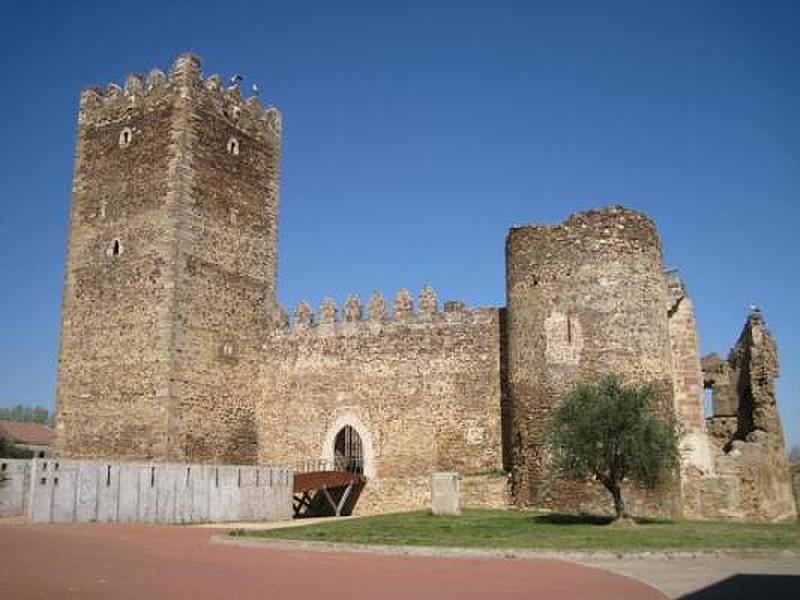 Castillo de Laguna de Negrillos