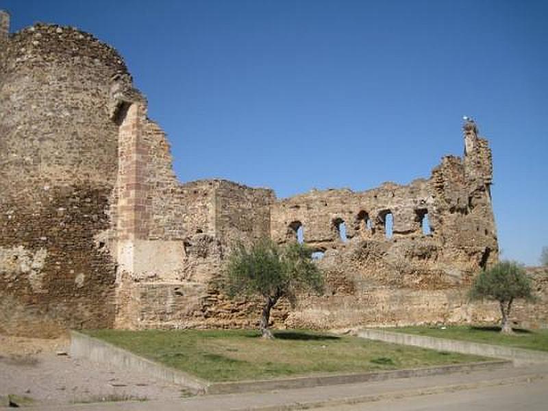 Castillo de Laguna de Negrillos