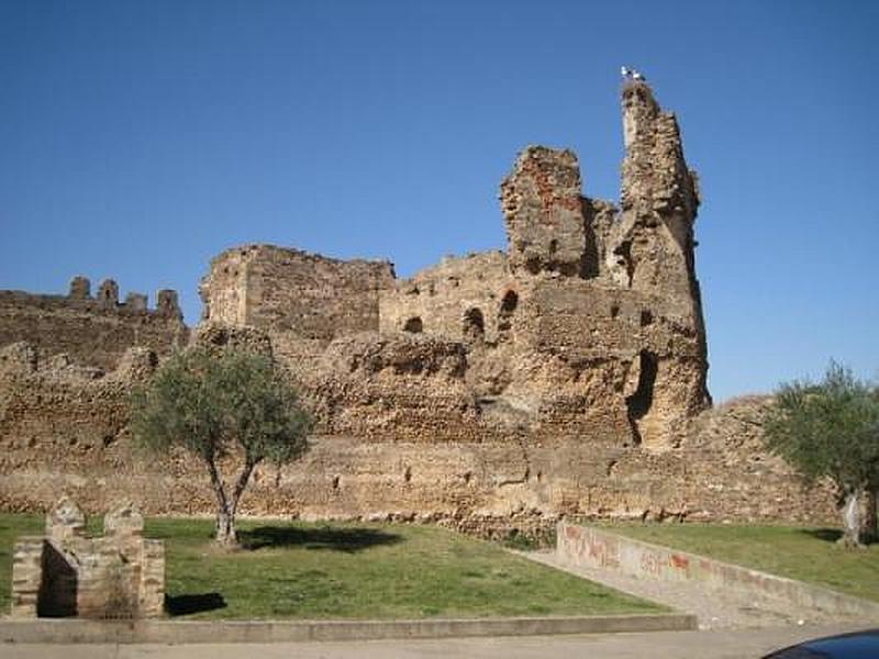 Castillo de Laguna de Negrillos