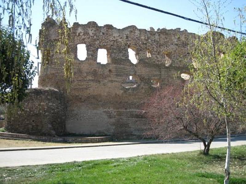 Castillo de Laguna de Negrillos