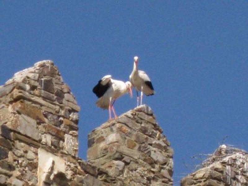 Castillo de Laguna de Negrillos