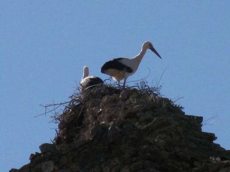 Castillo de Laguna de Negrillos