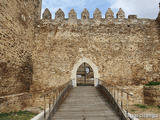 Castillo de Laguna de Negrillos