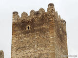 Castillo de Laguna de Negrillos