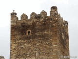 Castillo de Laguna de Negrillos