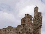 Castillo de Laguna de Negrillos