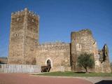 Castillo de Laguna de Negrillos