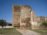 Castillo de Laguna de Negrillos