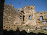 Castillo de Laguna de Negrillos