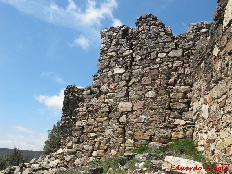 Castillo de la Falamosa