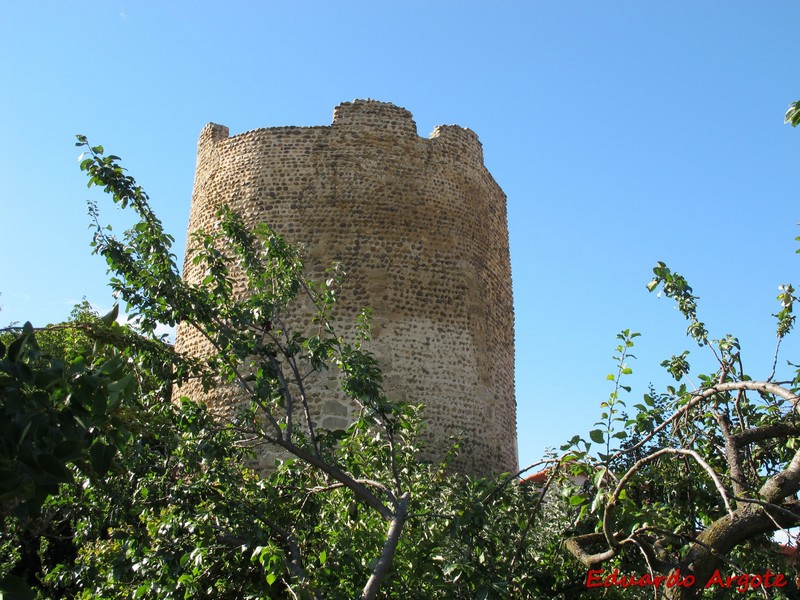 Muralla urbana de Mansilla de las Mulas