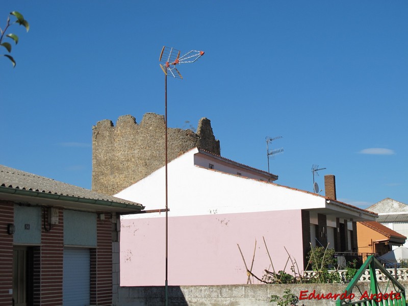 Muralla urbana de Mansilla de las Mulas