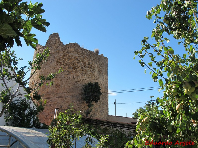 Muralla urbana de Mansilla de las Mulas