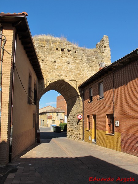 Muralla urbana de Mansilla de las Mulas