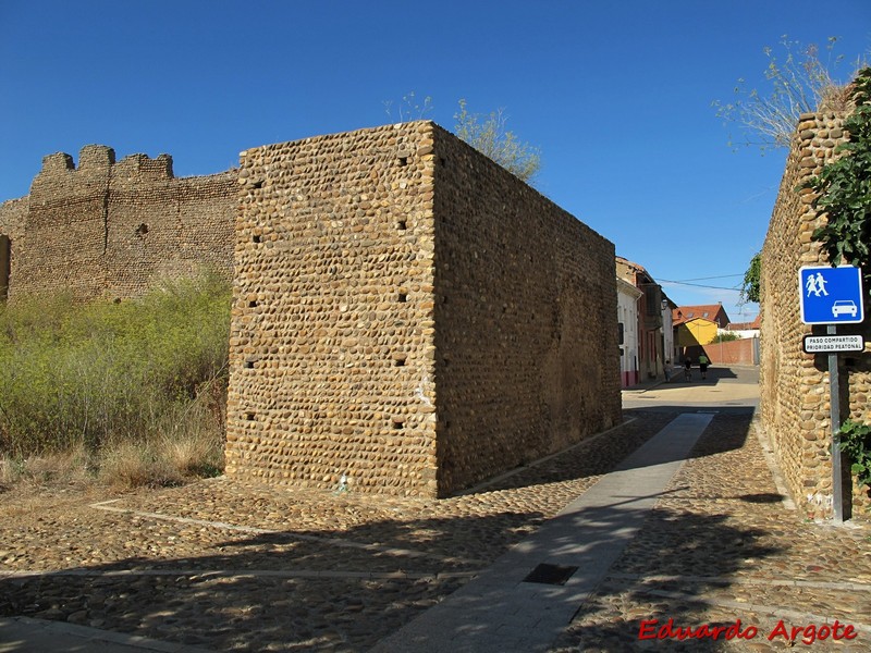 Muralla urbana de Mansilla de las Mulas