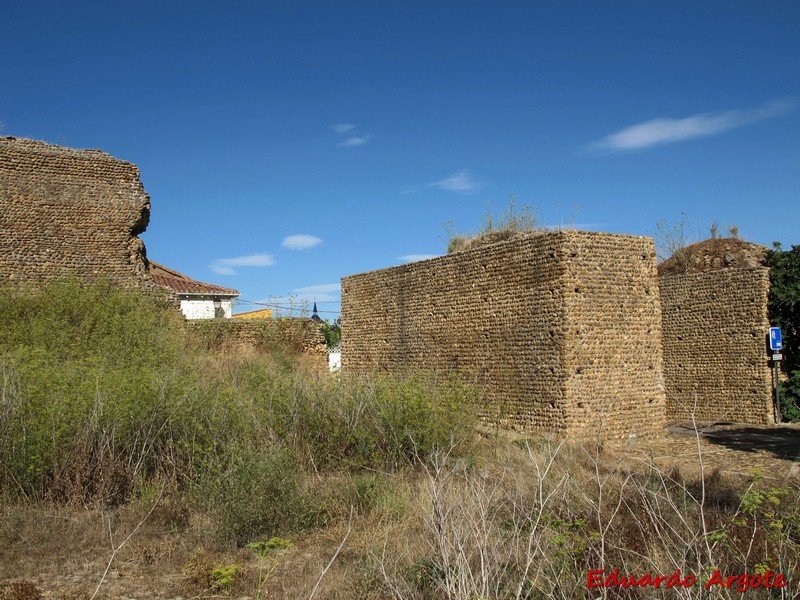 Muralla urbana de Mansilla de las Mulas