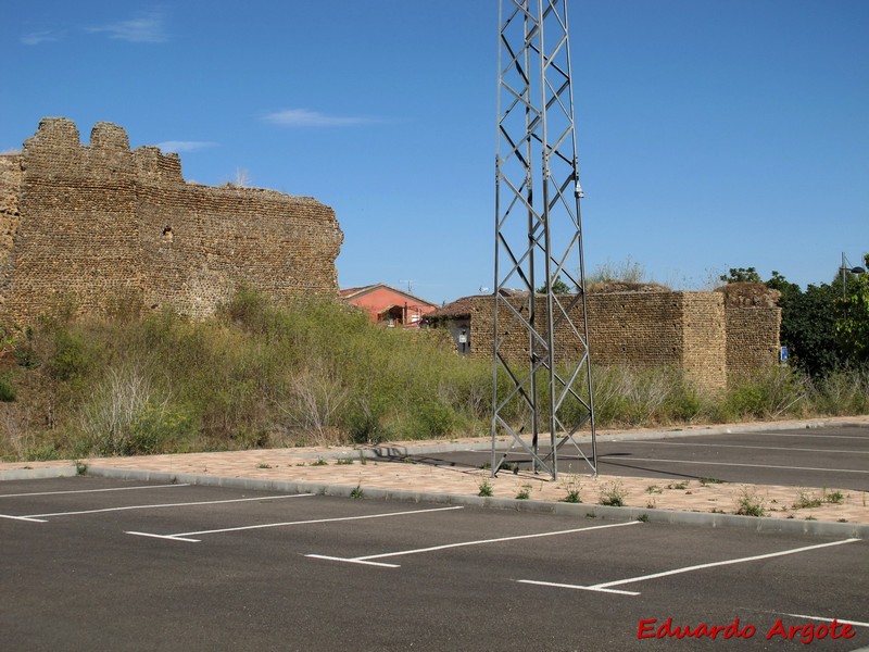 Muralla urbana de Mansilla de las Mulas