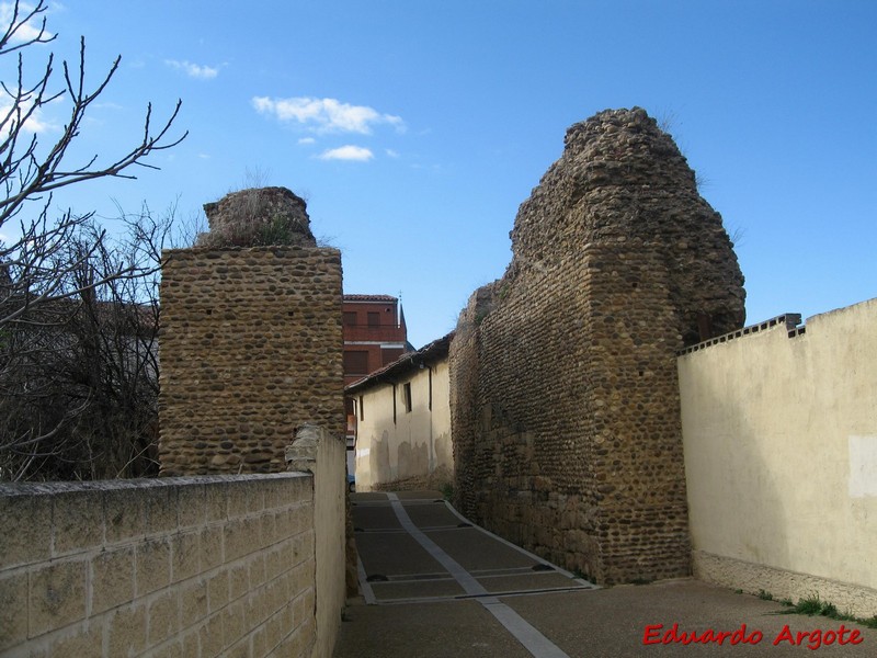 Muralla urbana de Mansilla de las Mulas