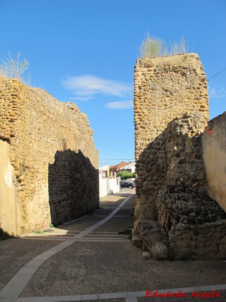 Muralla urbana de Mansilla de las Mulas