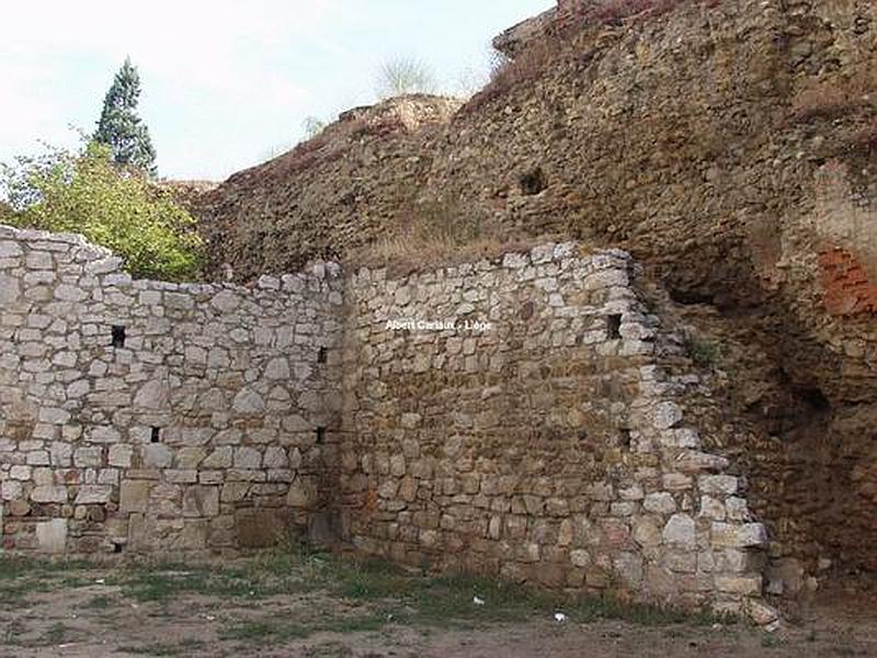 Muralla urbana de León