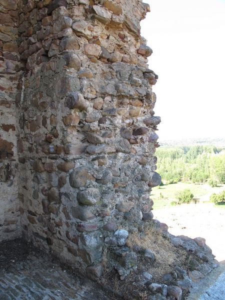 Torre de Tapia de la Ribera