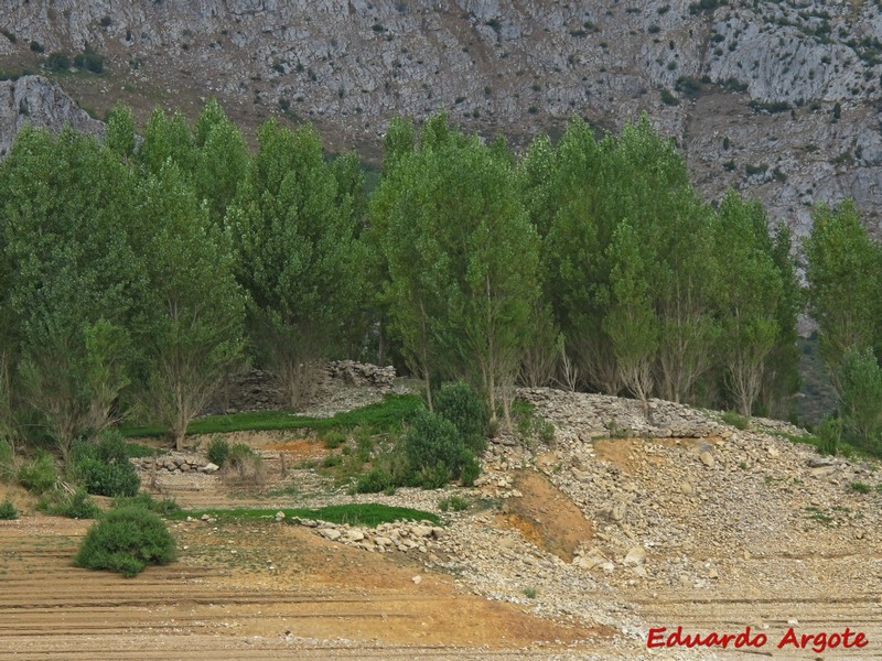 Castillo de Riaño