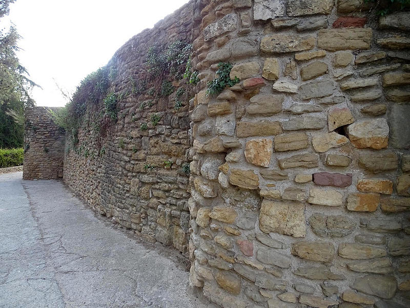 Castillo de Àger