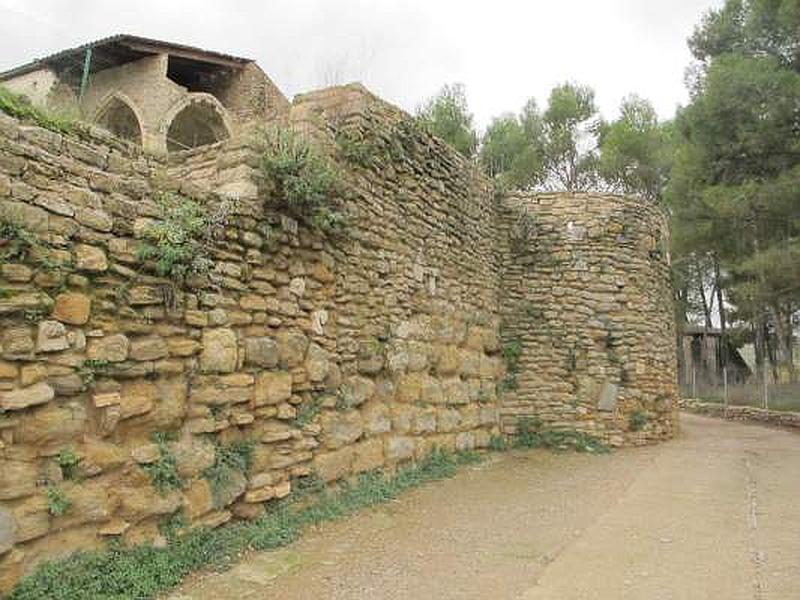 Castillo de Àger