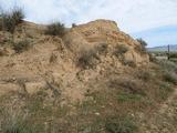 Muralla andalusí de Balaguer