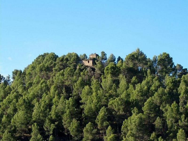 Castillo de Clariana de Cardener