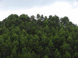 Castillo de Clariana de Cardener