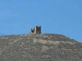 Torre de Els Alamús