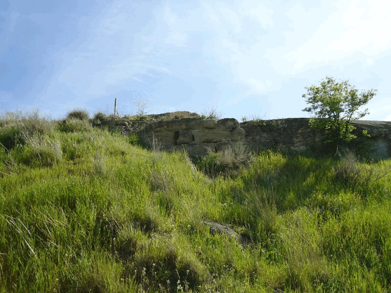 Castillo de Castelldáns