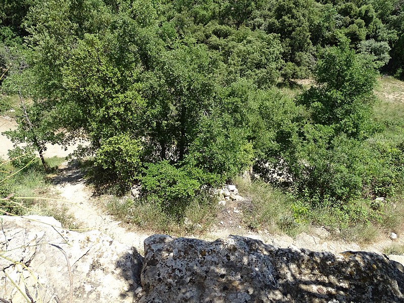 Castillo de Sant Gervàs