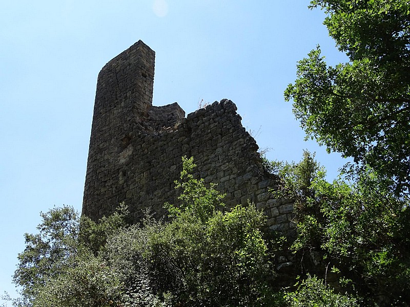 Castillo de Sant Gervàs